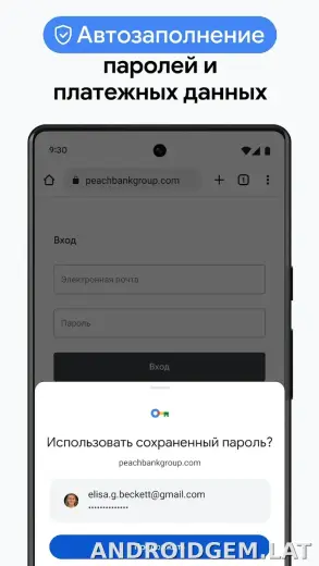 Google Chrome скриншот 6